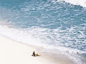 La recuperación de las playas de Cancún tendrá un mínimo efecto sobre el medioambiente marino