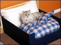 Travelodge lanza las camas de lujo para mascotas