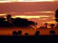 La OMT destaca el potencial turístico africano