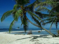 República Dominicana espera superar los cinco millones de turistas en 2008