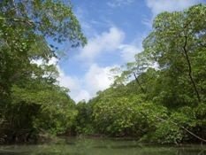Países amazónicos acuerdan promover la región como ruta conjunta de turismo sostenible