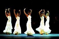Andalucía inicia con seis itinerarios la edición 2007 de las Rutas Flamencas