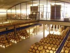 La Ruta del Vino de La Rioja Alavesa, premio al mejor proyecto turístico