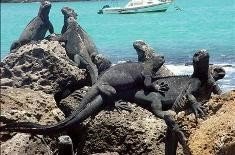 El Ministerio de Turismo responsabiliza a todos por deterioro de las Galápagos