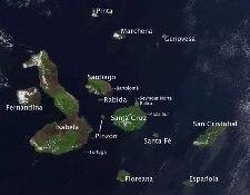 Las islas Galápagos, en peligro de extinción