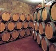 La Rioja acerca las nuevas tecnologías al turismo del vino