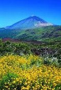 La declaración del Teide como Patrimonio Mundial lo convierte en un símbolo de Tenerife como destino de naturaleza