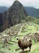 Instalan 20 cabinas públicas de Internet en Cusco para incentivar voto por Machu Picchu