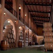 Nace "Destino Duero" para promover el turismo del vino