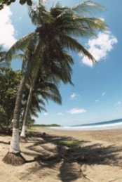 Plantation Properties invierte 250 M USD en un proyecto turístico en el Pacífico norte
