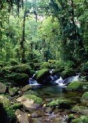 El humedal de Caño Negro ha sido elegido por la Unesco nueva reserva de la biosfera