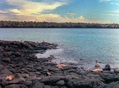 En vigor "visa" para entrar a Galápagos