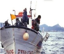 Pescanatur impulsa el turismo pesquero en las Rías Bajas