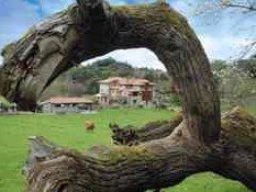 Hoy comienza el I Seminario Internacional de Turismo Rural en Santiago de Compostela