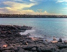 El Gobierno solicitará a la Unesco retirar a Galápagos de la lista de patrimonios en riesgo