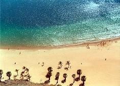 El Cabildo defiende Tenerife como marca turística única
