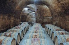 Proponen crear una ruta del vino como la de Oporto en Castilla y León