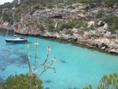Fomento del Turismo de Mallorca tendrá nueva sede entre 2008 y 2009