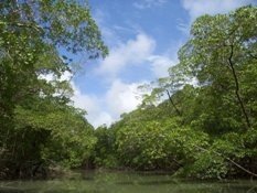 Esperan que 2008 sea "el gran año" para el turismo en la Región Amazónica