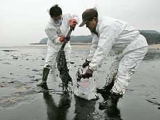 Corea declara zona catastrófica la costa afectada por la marea negra
