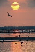 Desarrollan un programa energético para favorecer el turismo en los cayos
