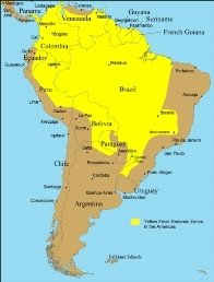 El Gobierno panameño mantiene la vigilancia internacional contra la fiebre amarilla