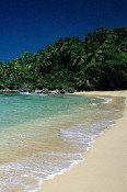 El turismo crecerá un 3% este año
