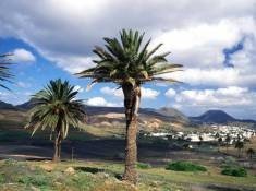 Lanzarote recibe el premio al mejor destino de sol y playa en Irlanda