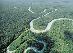 El país limitará la entrada de extranjeros a la Amazonia para proteger su ecosistema