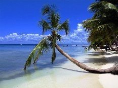 República Dominicana propone desarrollar un modelo de turismo solidario