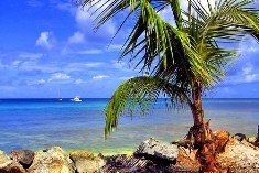 CARICOM lanzará campaña turística conjunta por más de 60 millones de dólares  para promocionar Trinidad y Tobago