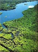 Promocionarán la Amazonía como destino turístico mundial durante el 2009