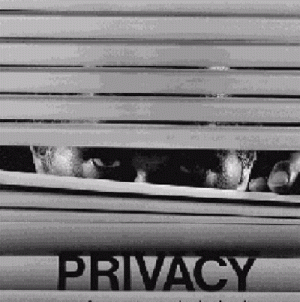 La privacidad, uno de los fundamentos de la sociedad de la información