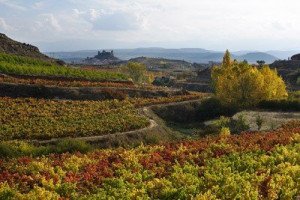 La Rioja Alta apuesta por la I+D+i para impulsar el enoturismo