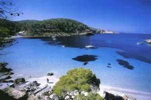El Libro Blanco del Turismo de Balears, hoy en HOSTELTUR TV