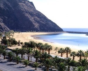 Tenerife apuesta por su propia aerolínea, a la catalana