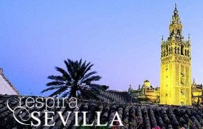 El Consorcio de Turismo de Sevilla tiene nueva directora