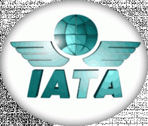 IATA prevé una caída del 15% en los ingresos del sector aéreo en 2009