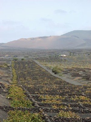Aprueban un Plan de Competitividad turística en Canarias vinculado a los volcanes