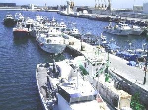 El Puerto de Tarragona se promocionará en el 2010 como destino de cruceros