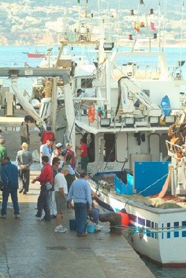 Barcas de pesca de Balears llevarán turistas a bordo