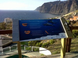 Delfines y ballenas, producto turístico de calidad en Tenerife