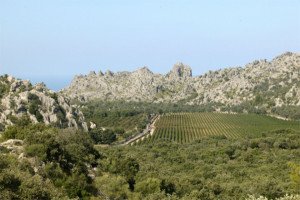 La Serra de Tramuntana de Mallorca ya es patrimonio de la humanidad por la Unesco