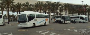 Los autocares turísticos pedirán una Ley de Transporte para Baleares
