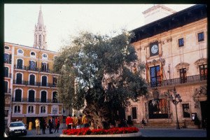 El Ayuntamiento de Palma autoriza un nuevo hotel 
