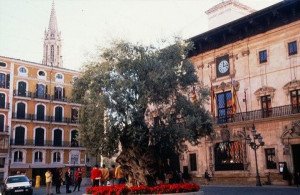 El Ayuntamiento de Palma autoriza un nuevo hotel