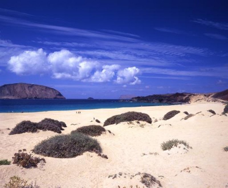 La DRV advierte a Soria de los perjuicios de las exploraciones petrolíferas en Canarias
