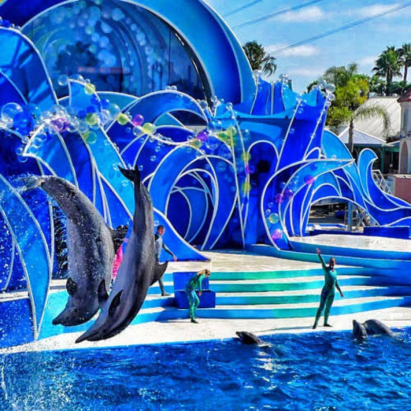 Espectáculo de delfines en Sea World de San Diego