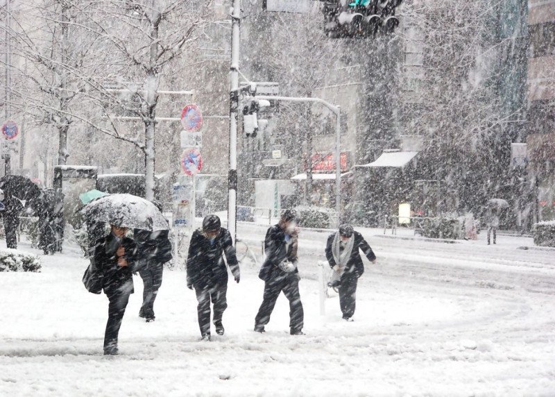 Tokio bajo la nieve (Foto: Japan Today).