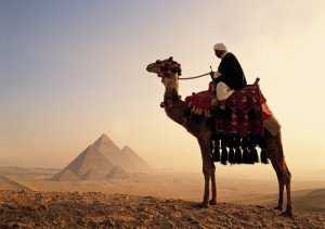 Los TTOO predicen el resurgimiento del Norte de África